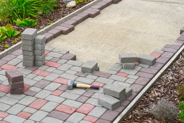 Best Commercial Driveway Pavers  in Alamosa East, CO