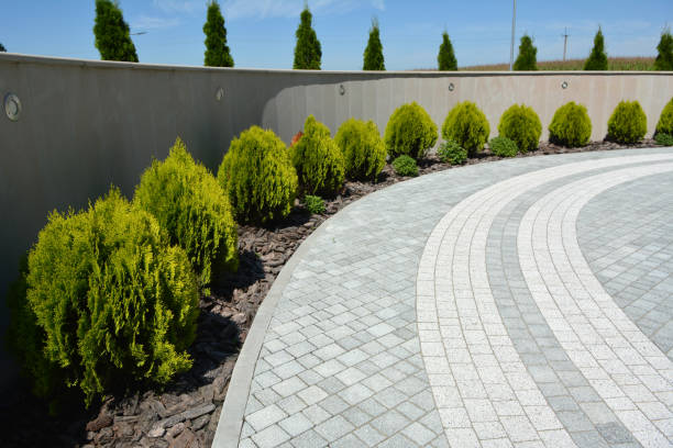 Reasons to Select Us for Your Driveway Paving Requirements in Alamosa East, CO